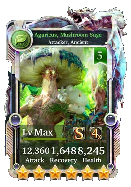 Agaricus, Mushroom Sage