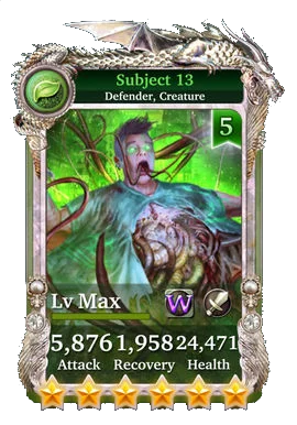 Subject 13